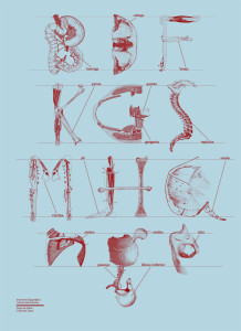 poster_TA_AnatomiaTipografica_faceA_web